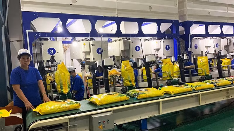 为越南企业向欧盟出口大米提供支持 ảnh 1