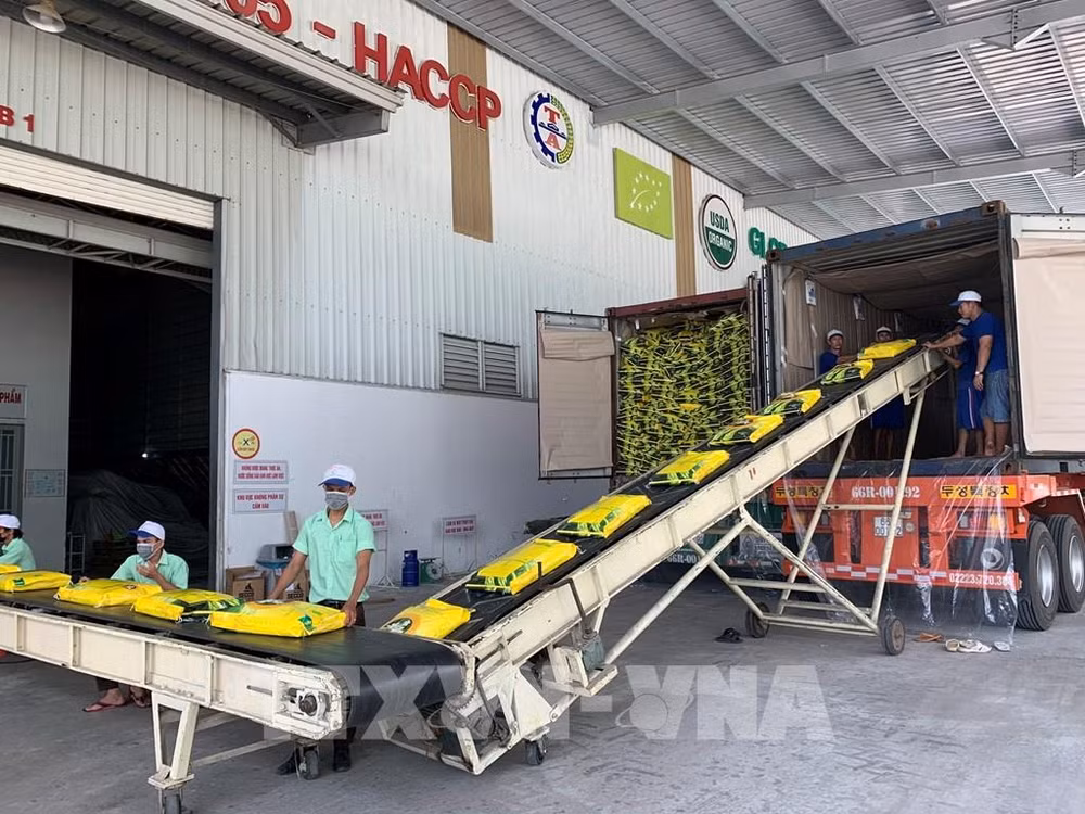 国际媒体对越南经济发展愿景持乐观预期 ảnh 1 国际媒体对越南经济发展愿景持乐观预期 ảnh 1