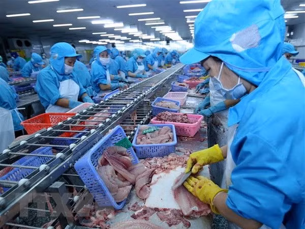 2020年越南水产品出口回稳向好 ảnh 1