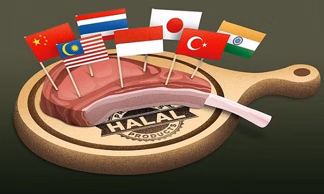 印度尼西亚增加对伊斯兰会议组织成员国的出口 ảnh 1