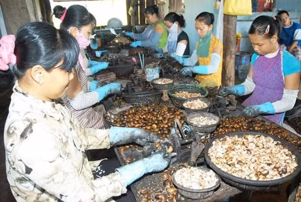 越南为企业加强对柬埔寨市场的出口提供协助 ảnh 1