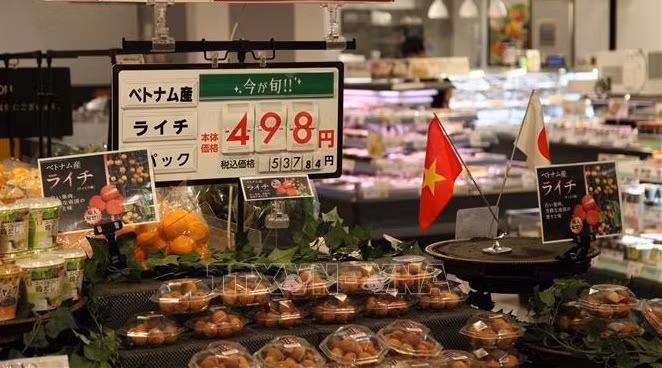开放农产品市场:按照国际标准生产农产品 ảnh 1 开放农产品市场:按照国际标准生产农产品 ảnh 1