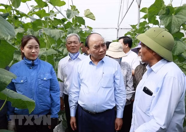 越南国家主席阮春福走访慰问海阳省老年人协会 ảnh 1 越南国家主席阮春福走访慰问海阳省老年人协会 ảnh 1