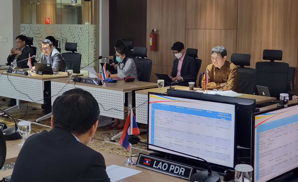 越南出席东盟一体化倡议工作组会议 ảnh 1 越南出席东盟一体化倡议工作组会议 ảnh 1
