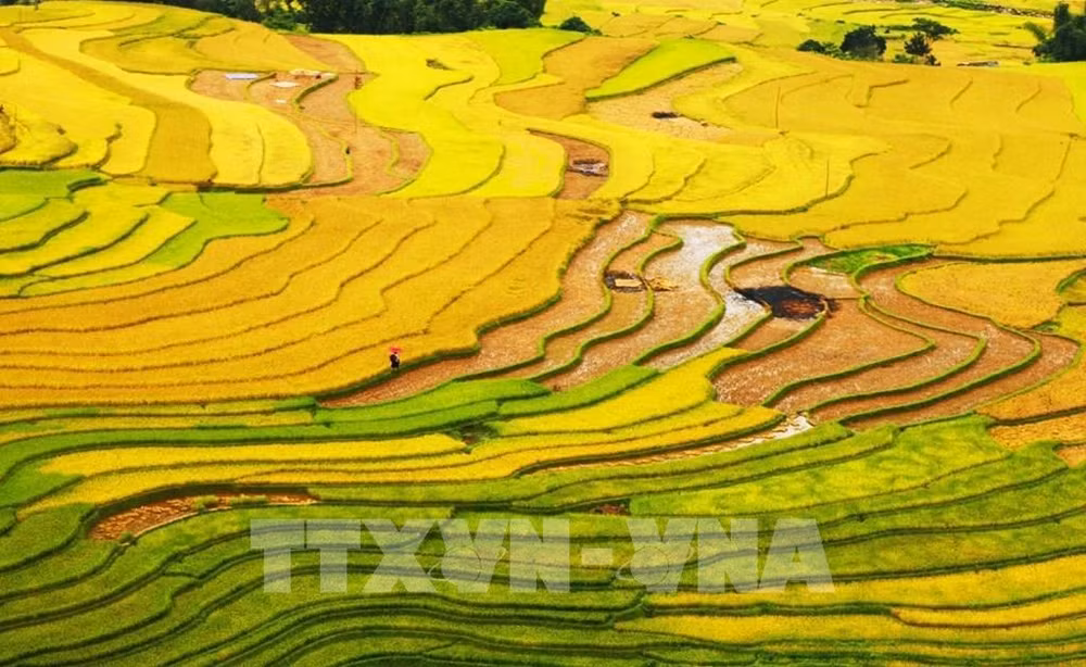 2022年世界旅游大奖:越南获亚洲地区10项提名 ảnh 1 2022年世界旅游大奖:越南获亚洲地区10项提名 ảnh 1