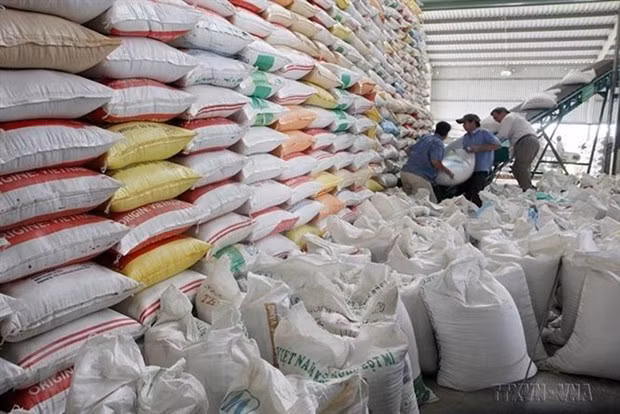 越南加大对非洲市场的食品出口力度 ảnh 1 越南加大对非洲市场的食品出口力度 ảnh 1