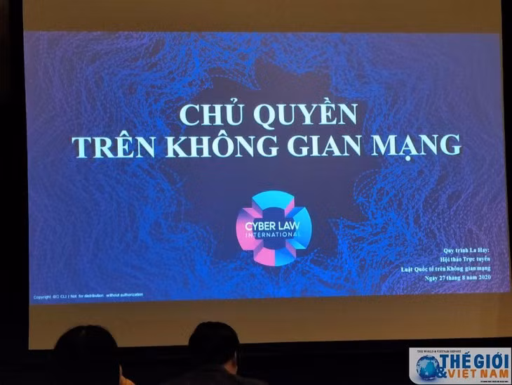 越南网络空间的自由发展符合国际法 ảnh 1