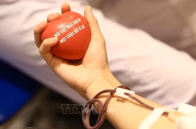 越南即将举行多项活动表彰无偿献血者 ảnh 1