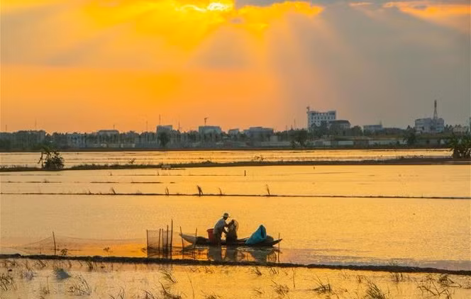 以五个重点推进九龙江三角洲自然资源管理项目 ảnh 1