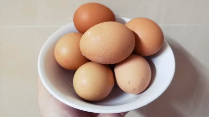 河内首次蛋类节即将举行 ảnh 1
