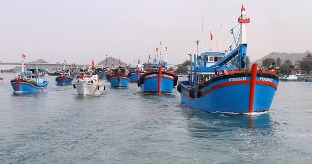 越南广南渔民严格遵守法规 努力解除IUU黄牌警告 ảnh 1 越南广南渔民严格遵守法规 努力解除IUU黄牌警告 ảnh 1