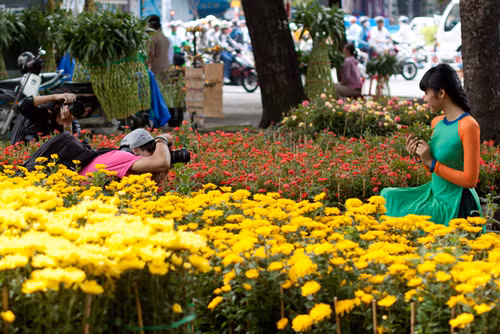 迎春花市陆续举行 增添浓浓喜庆气氛 ảnh 1
