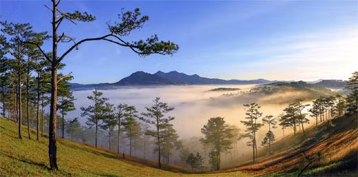 浪平山——西原地区的绿色明珠 ảnh 1
