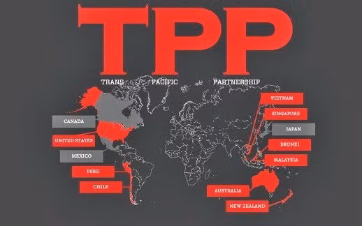 TPP协定正式签署立下重要里程碑 ảnh 1