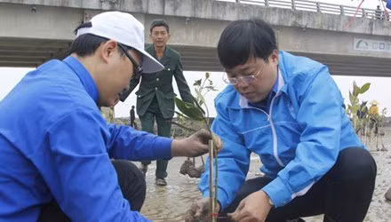 胡志明市共青团发起2016年植树节活动 ảnh 1