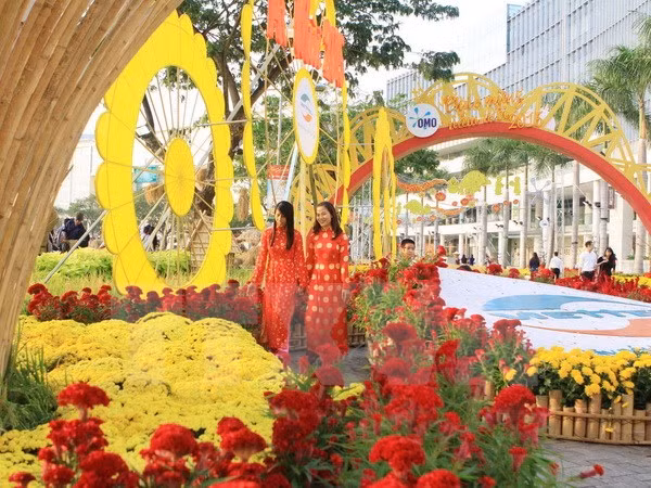 胡志明市保障社会民生和提高居民生活水平 ảnh 1