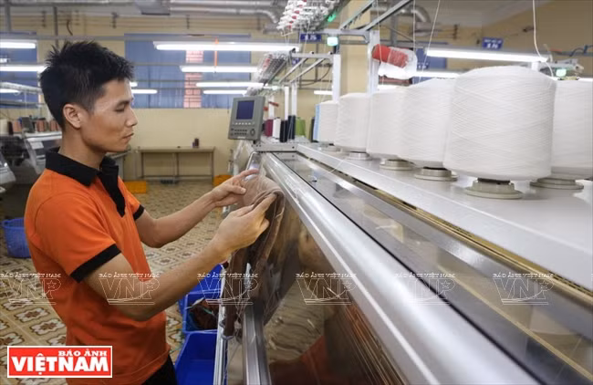 罗扶乡毛织业 ảnh 6