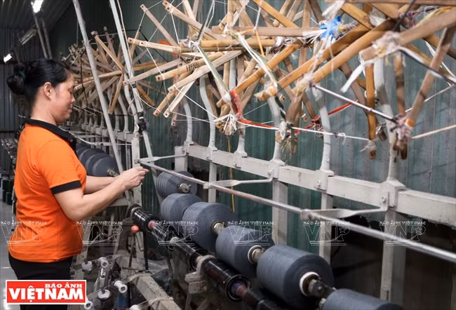 罗扶乡毛织业 ảnh 4