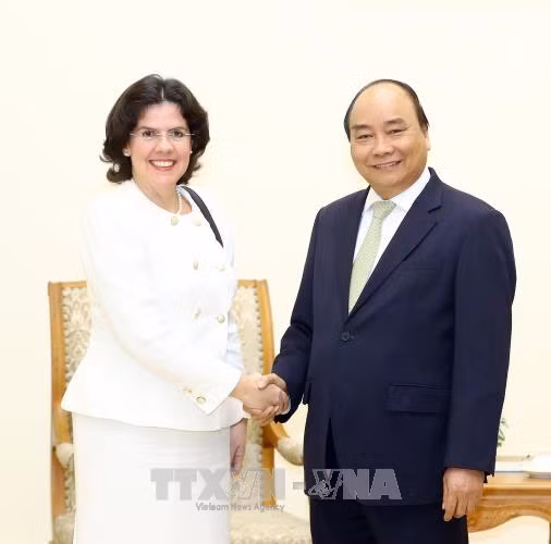 越南政府总理阮春福分别会见外国新任驻越大使 ảnh 1