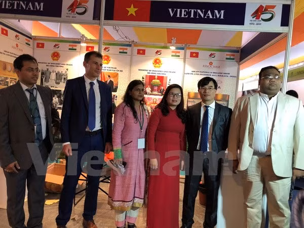 越南出席2017年东盟天然产品和有机食品博览会 ảnh 1