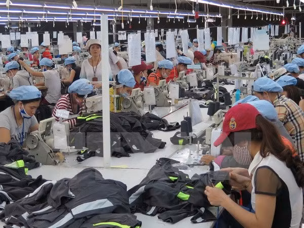 2017年越南出口的新亮点 ảnh 1