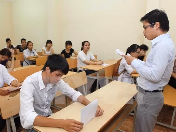 越南欧洲管理大学即将成立 ảnh 1