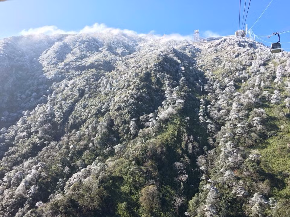 大雪覆盖番西邦峰 许多牲畜被冻死 ảnh 2 大雪覆盖番西邦峰 许多牲畜被冻死 ảnh 2