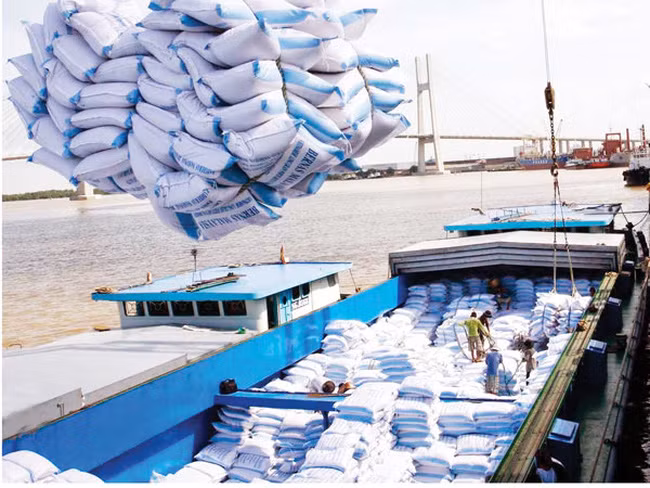 2018年越南大米出口量有望达600万吨 ảnh 1