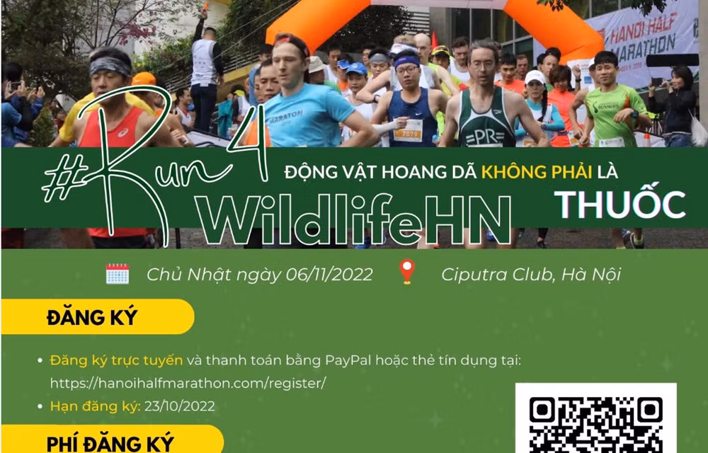 年度越南野生动物保护跑步比赛将于11月6日开赛 ảnh 1