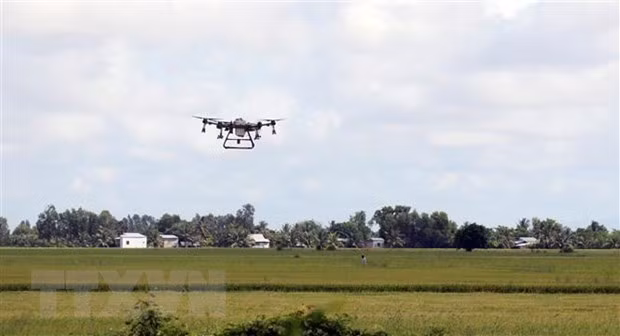 越南与荷兰合作推进九龙江三角洲地区的农业可持续转型 ảnh 1