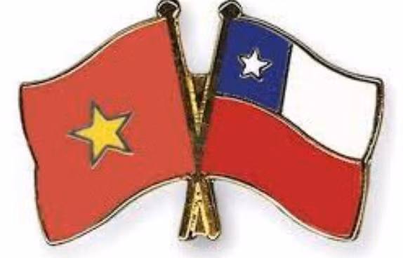 越南国庆77周年：越南始终是智利值得信赖的合作伙伴 ảnh 1
