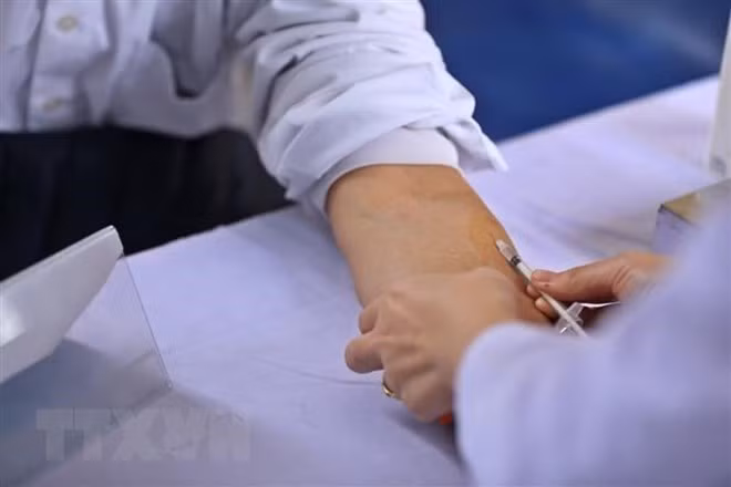 今年上半年越南结核病病例数达4.8万例 ảnh 1