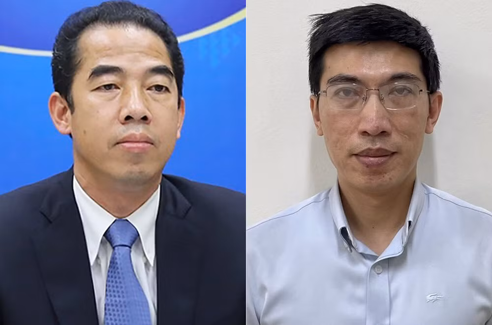 越南外交部副部长苏英勇、政府常务副总理助理阮光灵被撤职 ảnh 1