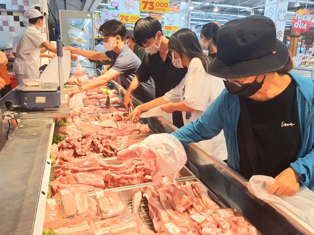 ☕️越通社新闻下午茶（2022.9.4） ảnh 3