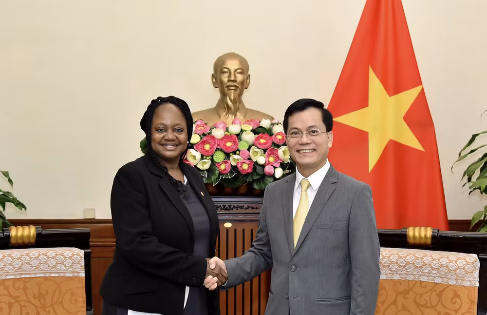 越南与美国推动全面伙伴关系走向深入、高效、务实发展 ảnh 1