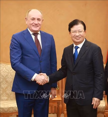 越南政府鼓励俄罗斯企业加大对越投资 ảnh 1