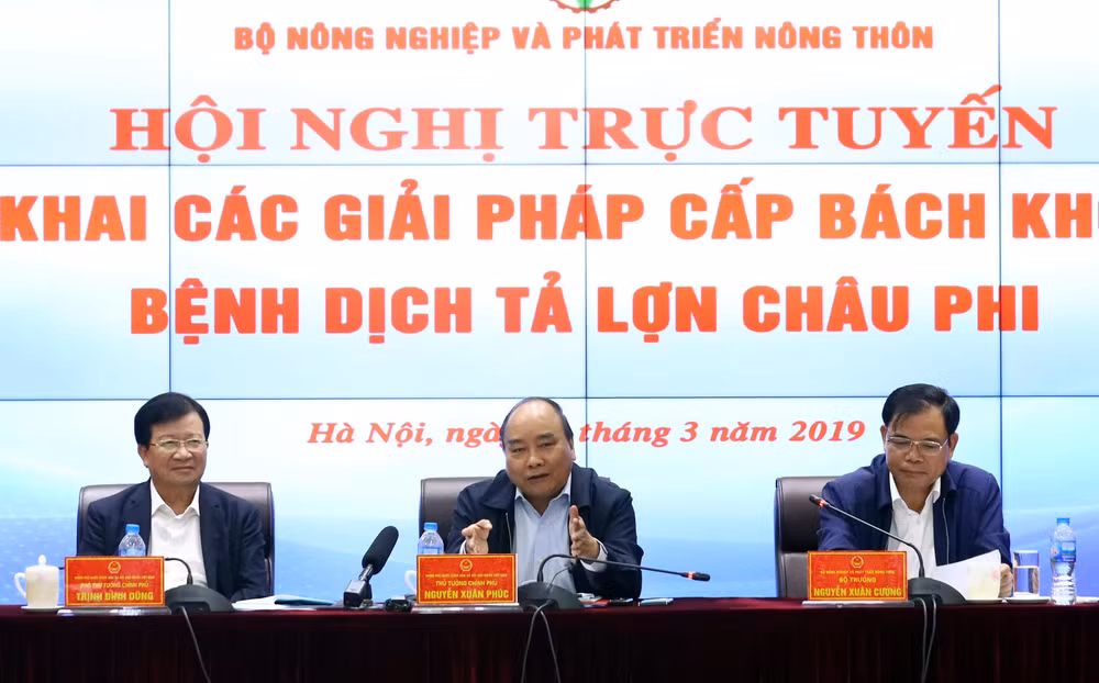 政府总理：各地方领导须对防控非洲猪瘟工作情况承担最终责任 ảnh 1
