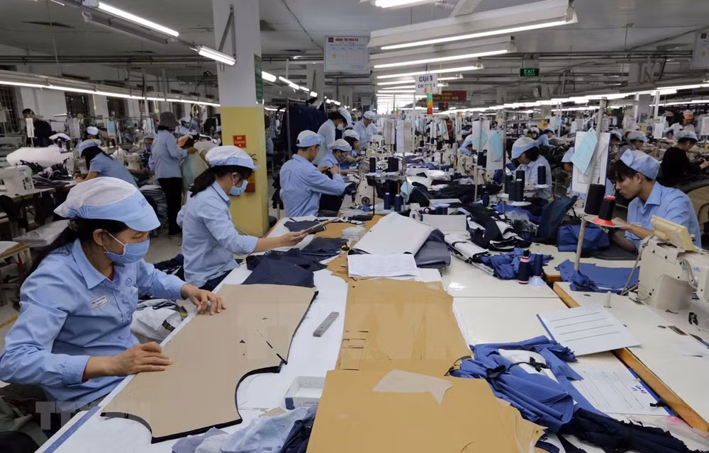 越南纺织服装完成全年出口目标 ảnh 1