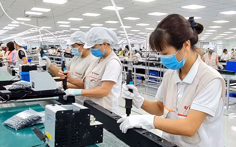 胡志明市吸引外国投资资金超过35亿美元 ảnh 1 胡志明市吸引外国投资资金超过35亿美元 ảnh 1