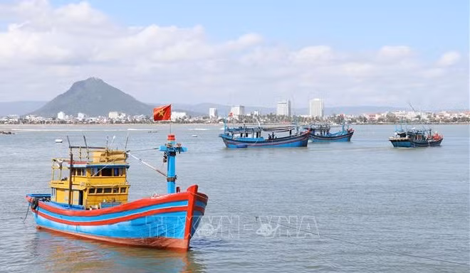 采取长远措施 解除IUU“黄牌”警告 ảnh 1 采取长远措施 解除IUU“黄牌”警告 ảnh 1