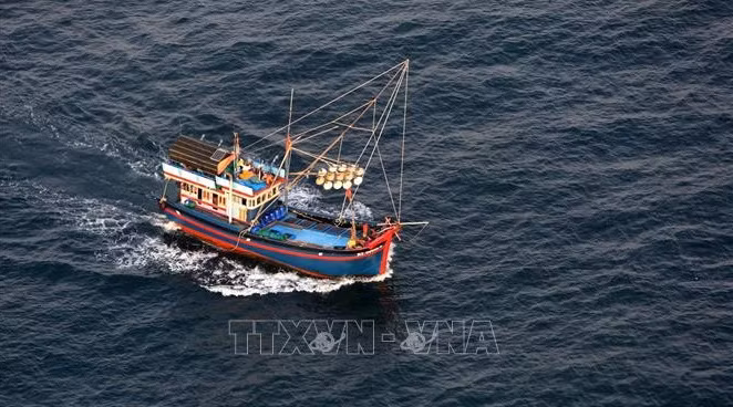 解除IUU“黄牌”：越南各地齐心协力 ảnh 1