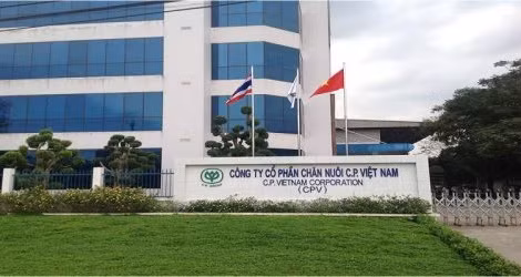 2022年越南饲料十强企业名单出炉 ảnh 1