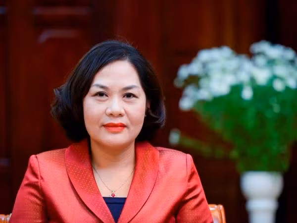 越南国家银行副行长：必要时将采取卖出外币的方式干预外汇市场 ảnh 1
