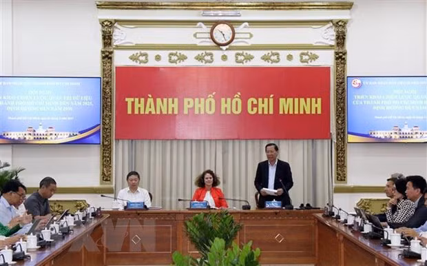 胡志明市开展数据管理战略 有效实施数字化转型目标 ảnh 1