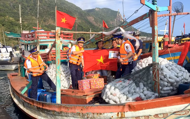 密切配合解除欧盟委员会对越南渔业的“黄牌”警告 ảnh 1