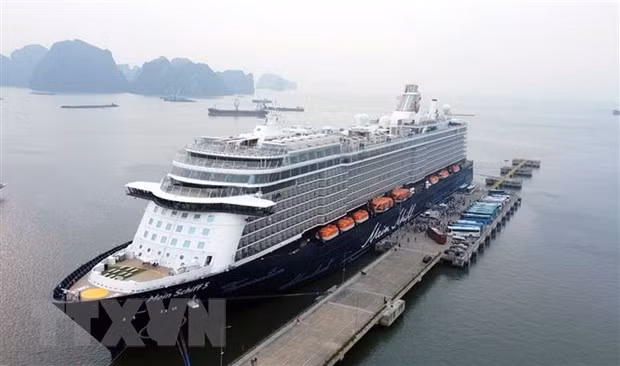 广宁省下龙湾迎来载有2000多名国际游客的邮轮 ảnh 1