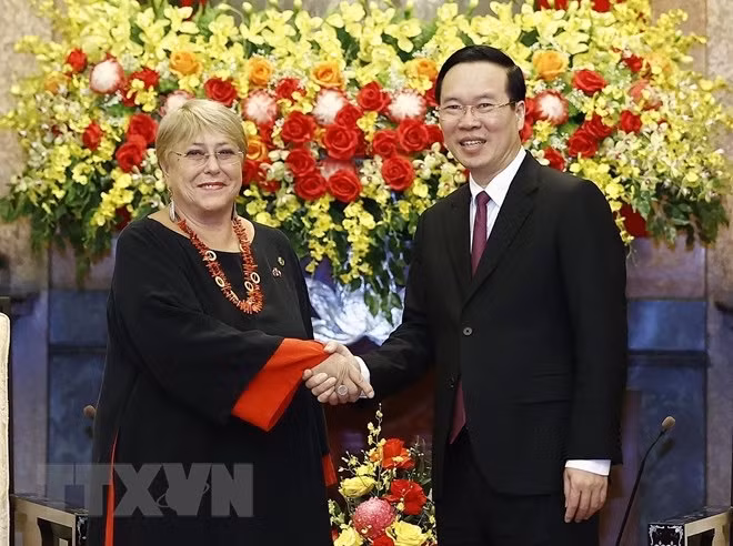 越南国家主席武文赏会见智利前总统 ảnh 1 越南国家主席武文赏会见智利前总统 ảnh 1