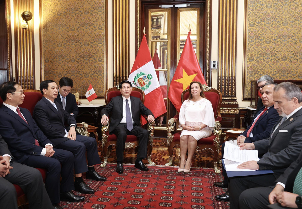 越南国家主席梁强和秘鲁总统迪娜·埃尔西利娅·博鲁阿尔特·塞加拉进行小范围会谈。图自越通社
