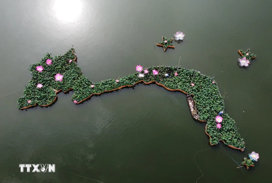 为了让荷花版“越南地图”保持翠绿鲜活的状态，公园的工作人员都定期对每一盆荷花进行护理和修剪。图自越通社