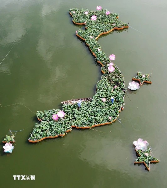 用5000个荷花盆拼出荷花版“越南地图”。图自越通社